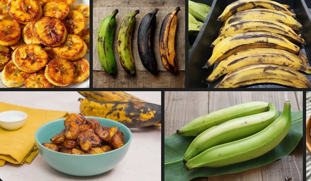 Banane plantain / Carton de 8 Kg